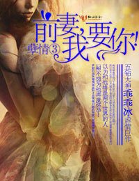 孽情③·前妻,我要你!