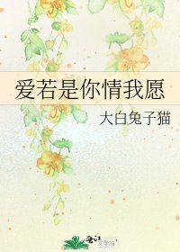 爱若是你情我愿